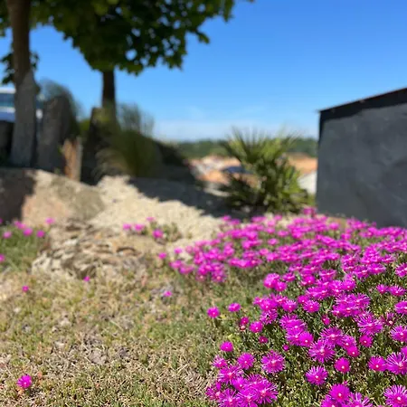 Les Iris - Maison Chaleureuse Holiday home